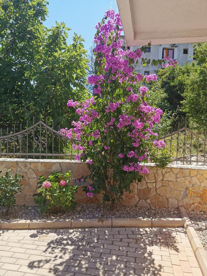 Hotel Villa Jolyn Ulcinj Buitenkant foto